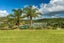 10 Alan Murray Lane, Oneroa, Waiheke Island - Carousel 13