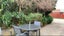 24A Vine Avenue, Maungatapu, Tauranga - Carousel 3