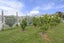 36 Horotane Valley Road, Heathcote Valley, Christchurch - Carousel 20