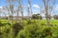 6 Teuila Grove, Wai o Taiki Bay, Auckland - Carousel 3