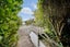 3 Holden Avenue, Forest Lake, Hamilton - Carousel 4