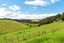 113 Addison Road, Pataua South, Parua Bay - Carousel 3