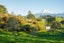 10 Allan Road, Burgess Park, New Plymouth - Carousel 42