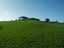 77 Day Road, Te Awamutu, Ohaupo - Carousel 3