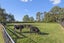 44 Peake Road, Cambridge, Hamilton - Carousel 22