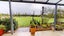 79 Wilkins Road, Tinwald, Ashburton - Carousel 13