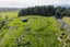 973 East Coast Road, KAIAUA, MIRANDA - Carousel 7