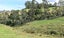 230 Ginn Road, Rotowaro, Huntly - Carousel 36