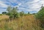 2181E South Eyre Road, Eyrewell, West Eyreton - Carousel 11
