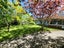 45A Wallace Road, Papatoetoe, Auckland - Carousel 16