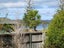 6 Driftwood Lane, Hihi - Carousel 26