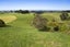 1253 Kohi Road, Waverley, Waverley - Carousel 9