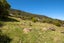 2648 Kaiuma Bay, KAIUMA BAY, HAVELOCK - Carousel 20
