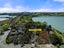 183A Upland Road, Remuera, Auckland - Carousel 4