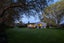1 Glenhill Drive, Witherlea, Blenheim - Carousel 37