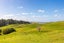 47 Witheford Road, Wharehine, Wellsford - Carousel 4