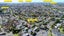 4 Universal Drive, Henderson, Auckland - Carousel 18