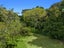 8A Thompson Road, Waiotahe, Opotiki - Carousel 10