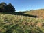255 Lees Pakaraka Road, Te Ore Ore, Masterton - Carousel 9