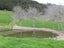 0 Tremain Road, Ruatangata West, Kamo - Carousel 13