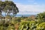 155 Koutunui Road, Athenree, Katikati - Carousel 23