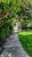 20 Peel Street, Lawrence, Lawrence - Carousel 25