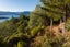 238B Port Underwood Road, Waikawa, Picton - Carousel 21