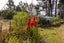 724 Norfolk Road, Upper Plain - Carousel 25
