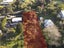 17 Giles Road, Ostend, Waiheke Island - Carousel 3