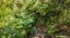 99D Carter Road, Oratia, Auckland - Carousel 29