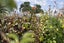 83 Second View Avenue, Beachlands, Auckland - Carousel 13