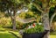 31 No 1 Road, Te Puke, Te Puke - Carousel 38