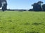 362 Lorne-Dacre Road, ROSLYN BUSH, INVERCARGILL - Carousel 14
