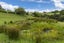 1439 Old North Road, Helensville, Helensville - Carousel 27