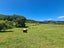 208 McQuoid Road, Preece Point, Coromandel - Carousel 10