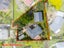 8 Bishopgate Street, Birkdale, Auckland - Carousel 2