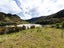 0 Taylorville, Taylorville, Greymouth - Carousel 7