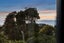 37A Hastings Road, Mairangi Bay, Auckland - Carousel 11