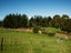 0 Ruatiti Rd, Ruatiti - Carousel 5