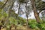 128 Settlement Road, Kaiwaka, Kaiwaka - Carousel 37