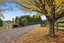 178 Whitehall Road, Karapiro, Cambridge - Carousel 29