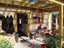 80 Park Avenue, Waitārere Beach, Levin - Carousel 25