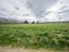51 Duncan Road, Ettrick, Roxburgh - Carousel 4