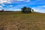 504 Falls Road, WAERENGA, TE KAUWHATA - Carousel 3
