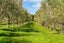 3 Bagnal Road, Kaiwaka - Carousel 2