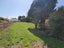 7 Gibson Street, Ross - Carousel 30