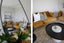 27 Pyes Pa Road, Pyes Pa, Tauranga - Carousel 15