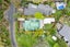 7 John Bracken Way, Beach Haven, Auckland - Carousel 23