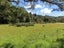 2265 State Highway 7, MAIMAI, REEFTON - Carousel 3