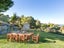 140 Seafield Road, Eskdale - Carousel 22